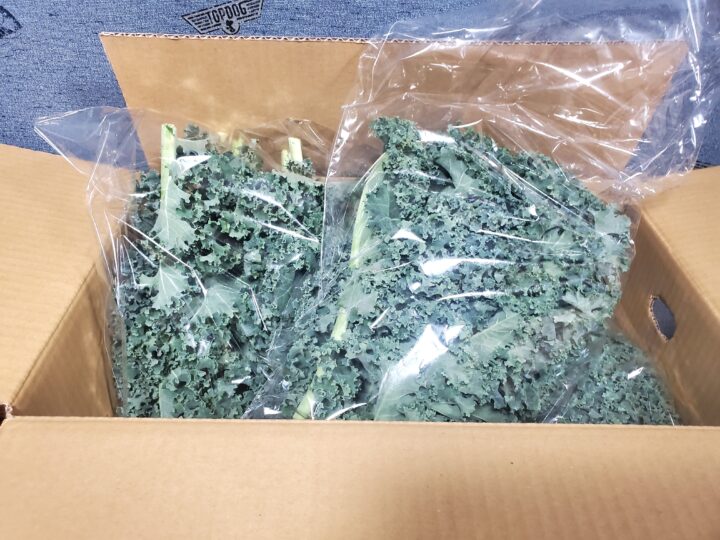 メンズ脱毛で感じる、日常の楽さの画像