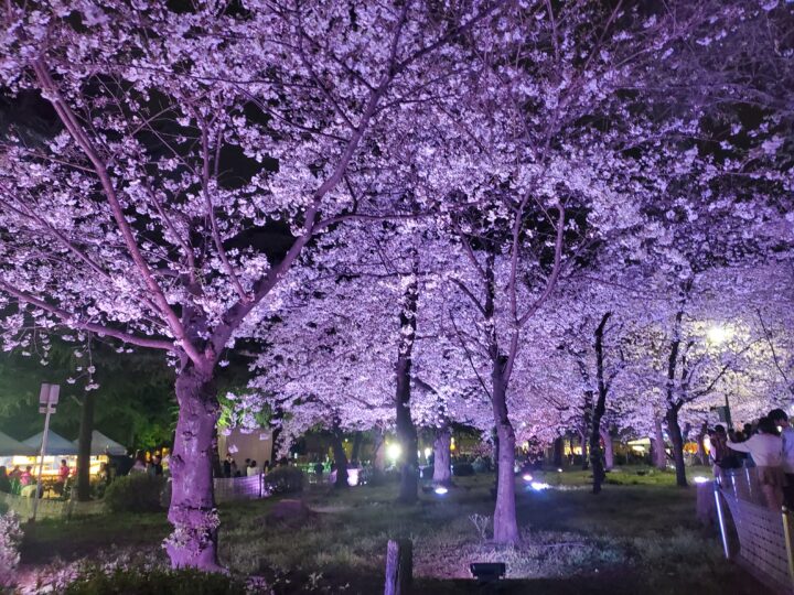 【メンズヒゲ脱毛】新生活前に始めるメリットとタイミングの画像