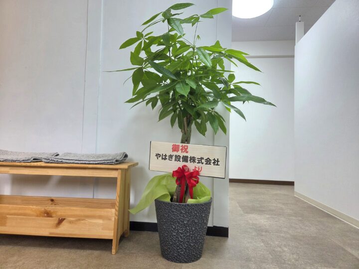 移転後、少しずつ新しいお店にも慣れてきましたの画像
